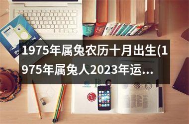 <h3>1975年属兔农历十月出生(1975年属兔人2025年运势及运程)