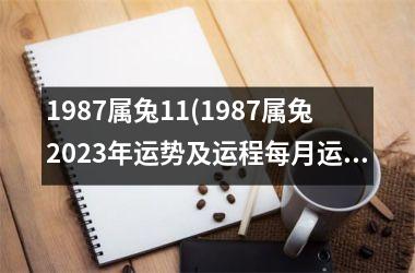 1987属兔11(1987属兔2025年运势及运程每月运程)