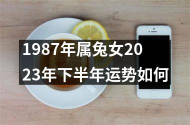 1987年属兔女2025年下半年运势如何