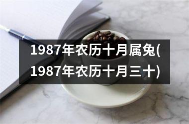 <h3>1987年农历十月属兔(1987年农历十月三十)