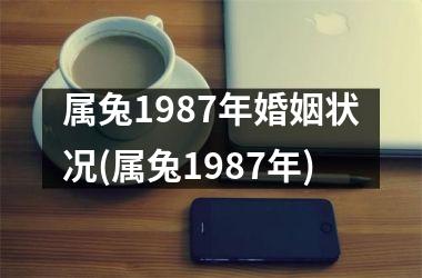 <h3>属兔1987年婚姻状况(属兔1987年)