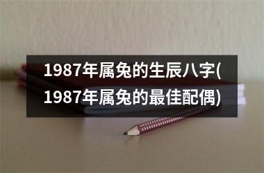 1987年属兔的生辰八字(1987年属兔的最佳配偶)