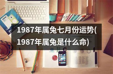 <h3>1987年属兔七月份运势(1987年属兔是什么命)