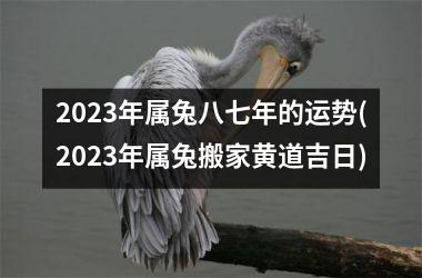 2025年属兔八七年的运势(2025年属兔搬家黄道吉日)