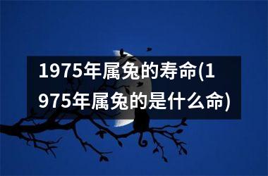 <h3>1975年属兔的寿命(1975年属兔的是什么命)