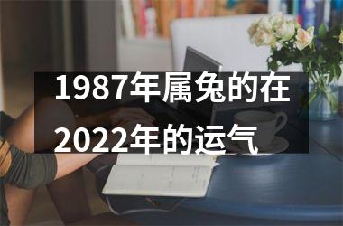 <h3>1987年属兔的在2025年的运气