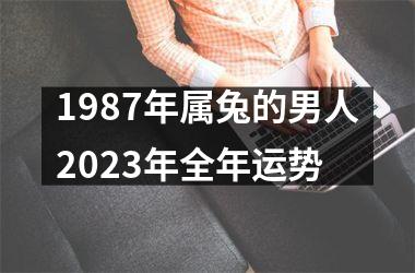 <h3>1987年属兔的男人2025年全年运势