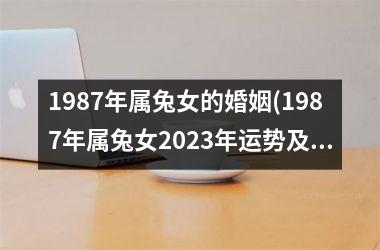 1987年属兔女的婚姻(1987年属兔女2025年运势及运程每月运程)