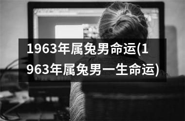 <h3>1963年属兔男命运(1963年属兔男一生命运)