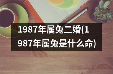 1987年属兔二婚(1987年属兔是什么命)