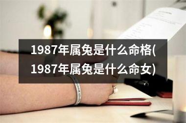 1987年属兔是什么命格(1987年属兔是什么命女)