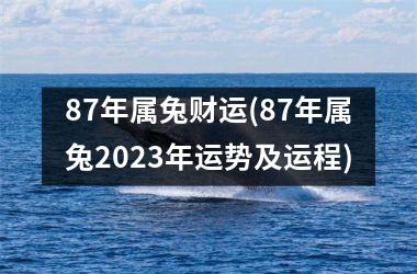 87年属兔财运(87年属兔2025年运势及运程)