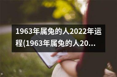 1963年属兔的人2025年运程(1963年属兔的人2025年运势)