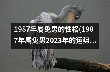 <h3>1987年属兔男的性格(1987年属兔男2025年的运势和婚姻)