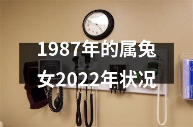 1987年的属兔女2025年状况