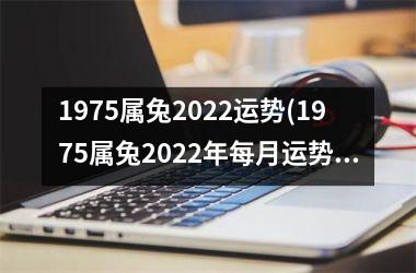 <h3>1975属兔2025运势(1975属兔2025年每月运势及运程详解)