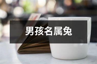 男孩名属兔