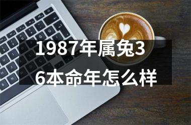 <h3>1987年属兔36本命年怎么样