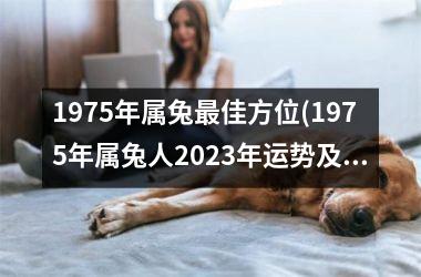 <h3>1975年属兔最佳方位(1975年属兔人2023年运势及运程)