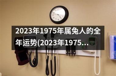 2025年1975年属兔人的全年运势(2025年1975年属兔人的全年运势女性)