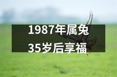 1987年属兔35岁后享福