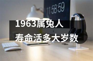 <h3>1963属兔人寿命活多大岁数