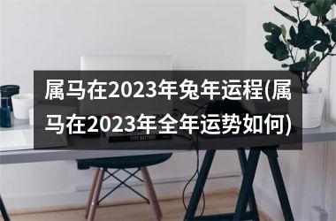 属马在2025年兔年运程(属马在2025年全年运势如何)