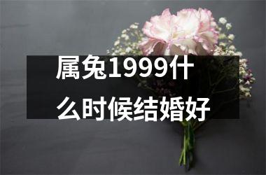 <h3>属兔1999什么时候结婚好