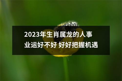 2025年生肖属龙的人事业运好不好好好把握机遇