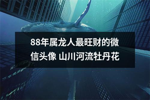 88年属龙人旺财的微信头像山川河流牡丹花