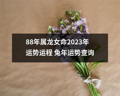 <h3>88年属龙女命2025年运势运程兔年运势查询
