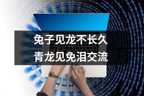 <h3>兔子见龙不长久青龙见免泪交流