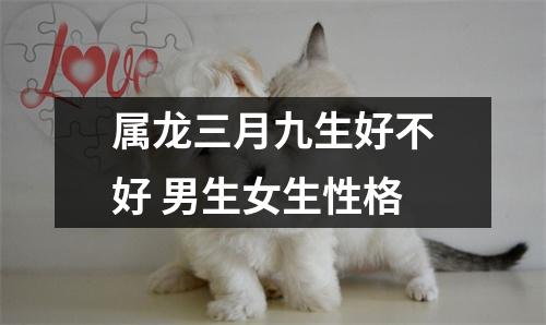 <h3>属龙三月九生好不好男生女生性格