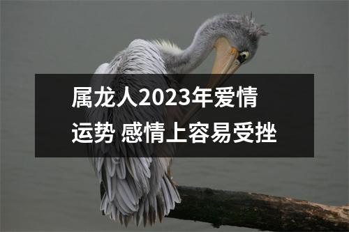 属龙人2025年爱情运势感情上容易受挫