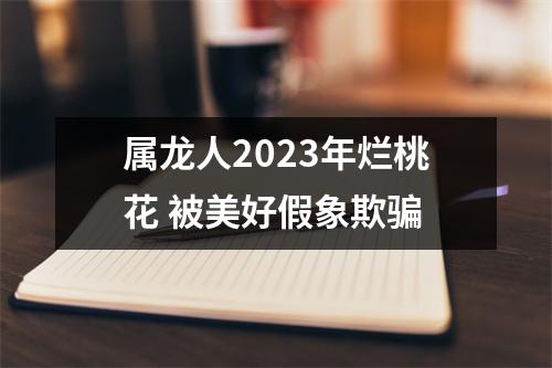 <h3>属龙人2025年烂桃花被美好假象欺骗