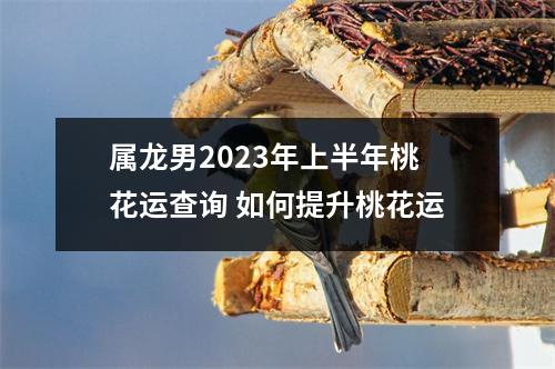 属龙男2023年上半年桃花运查询如何提升桃花运