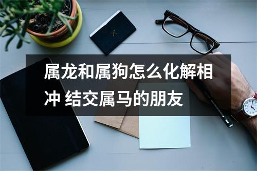 属龙和属狗怎么化解相冲结交属马的朋友