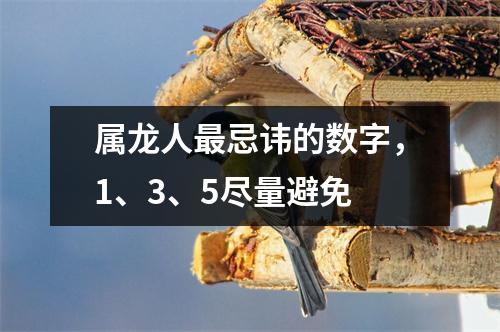 属龙人忌讳的数字，1、3、5尽量避免