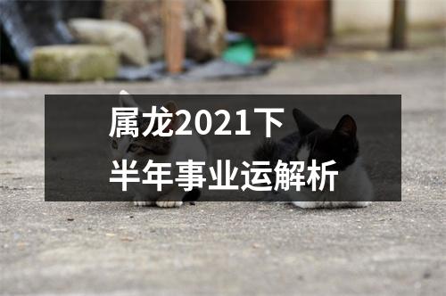 属龙2025下半年事业运解析