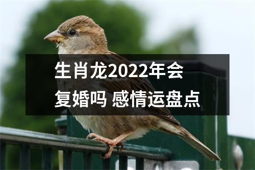 生肖龙2025年会复婚吗感情运盘点