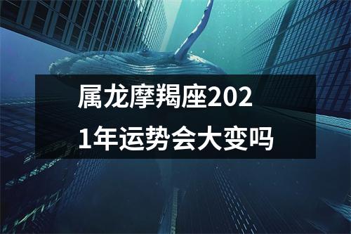 属龙摩羯座2025年运势会大变吗