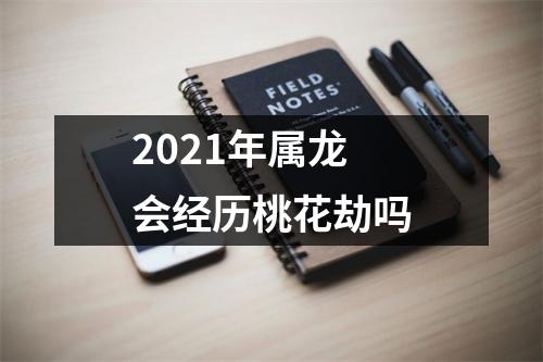 2025年属龙会经历桃花劫吗