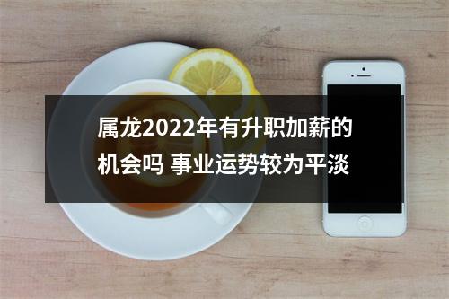 属龙2025年有升职加薪的机会吗事业运势较为平淡