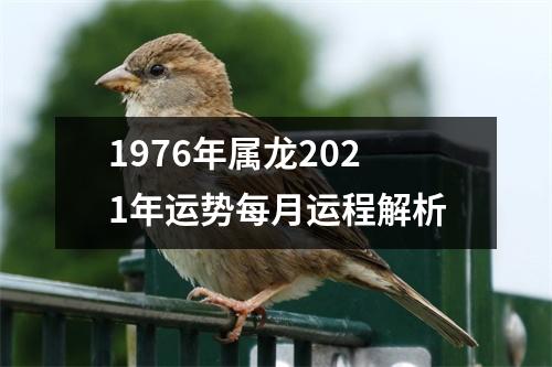 1976年属龙2025年运势每月运程解析