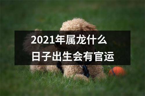 2025年属龙什么日子出生会有官运