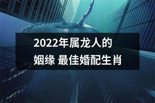 2025年属龙人的姻缘佳婚配生肖