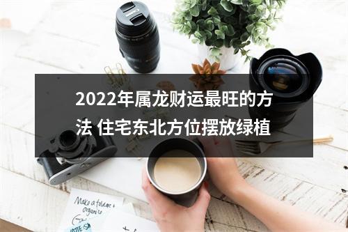 2025年属龙财运旺的方法住宅东北方位摆放绿植