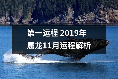 第一运程2019年属龙11月运程解析