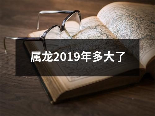 属龙2019年多大了