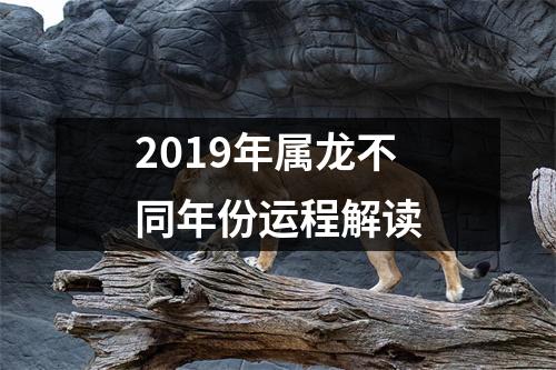 2019年属龙不同年份运程解读